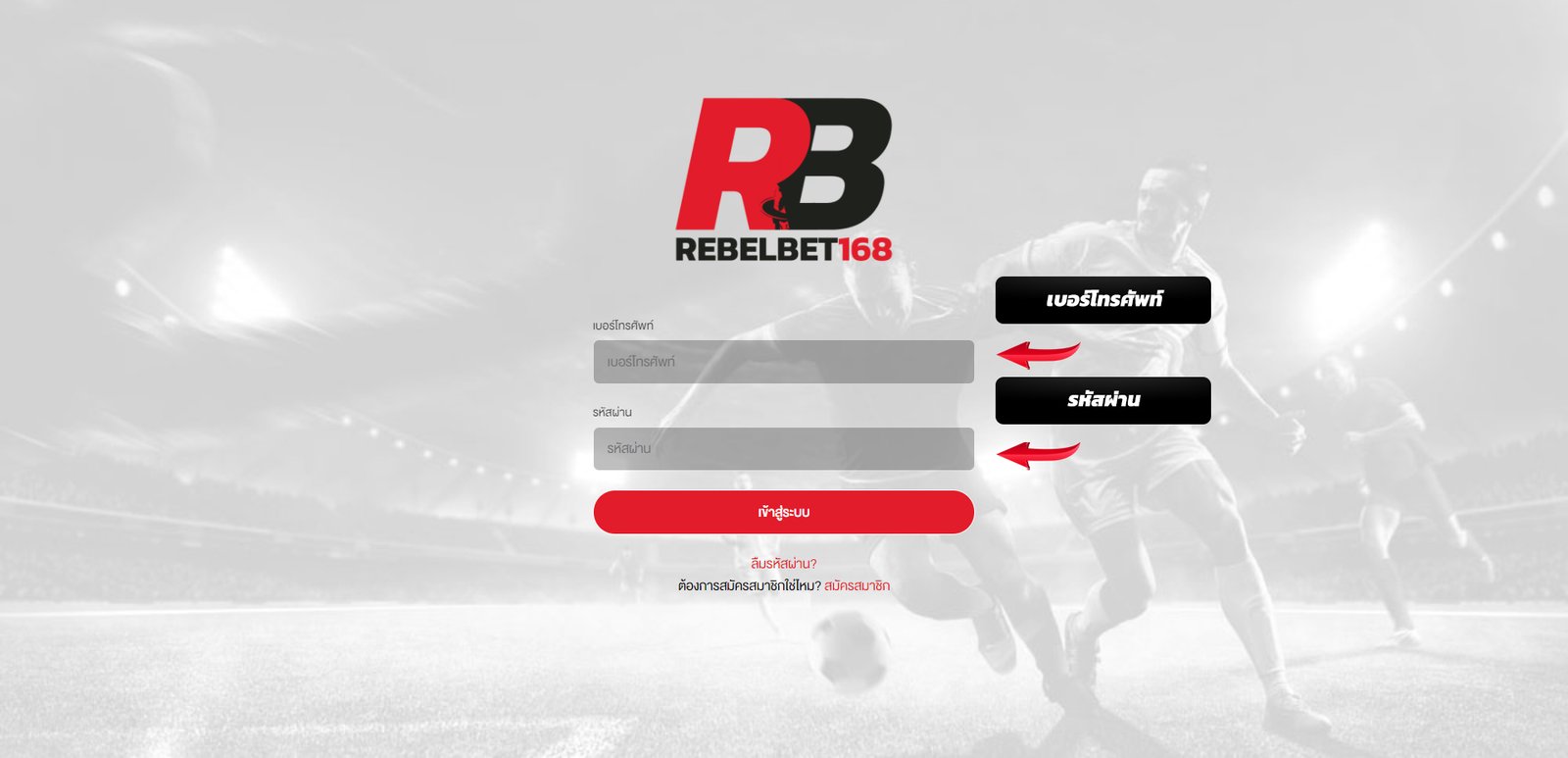 แนะนำการใช้บริการ rebelbet168 ขั้นตอนที่4